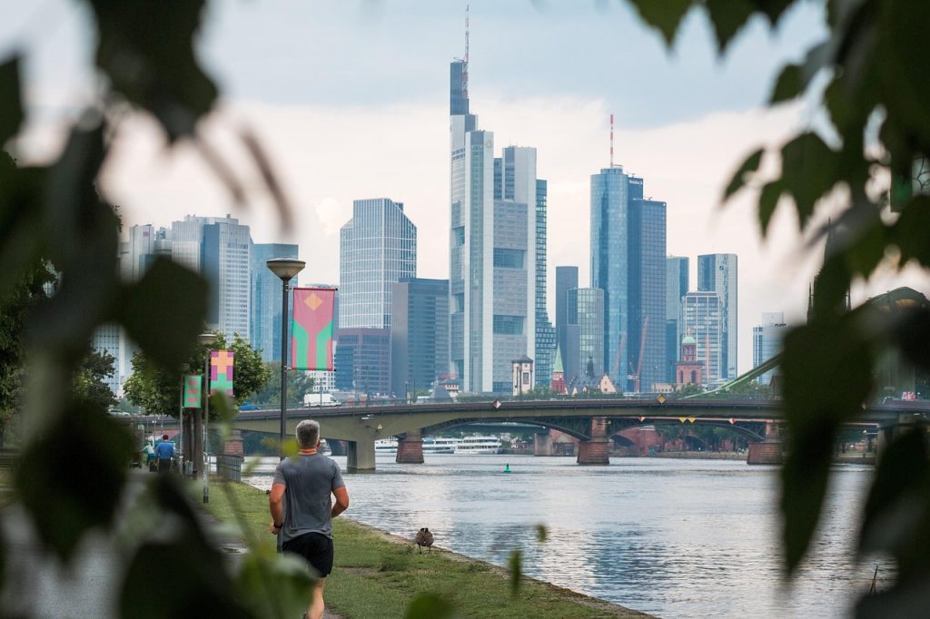 Frankfurt Skyline. Pflegedienst One in Höchst